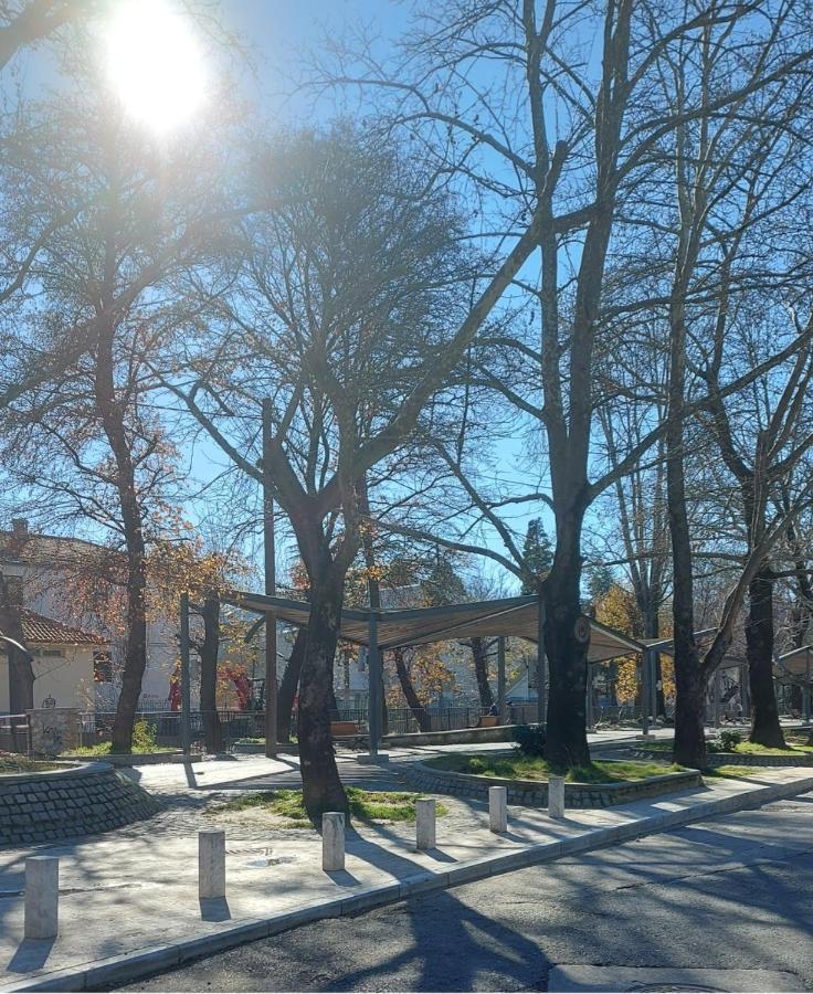 Fbm Anagenessis - Ευ Ζην Appartement Edessa Buitenkant foto