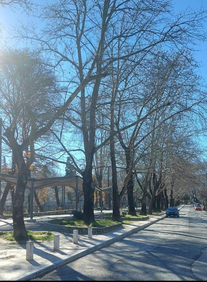 Fbm Anagenessis - Ευ Ζην Appartement Edessa Buitenkant foto