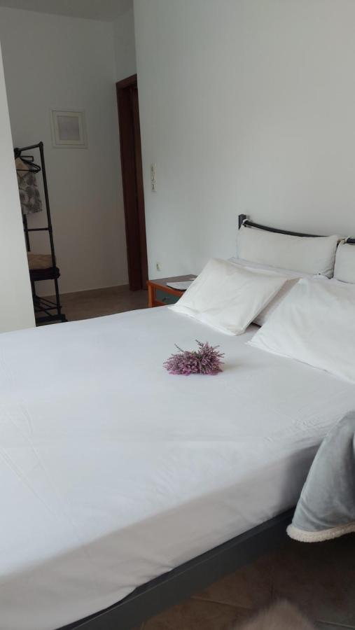 Fbm Anagenessis - Ευ Ζην Appartement Edessa Buitenkant foto